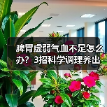 脾胃虚弱气血不足怎么办?3招科学调理养出好脾胃补气血(图3) 脾胃虚弱气血不足怎么办?3招科学调理养出好脾胃补气血(图3)