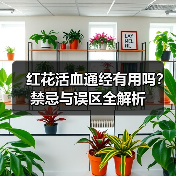 红花活血通经有用吗?禁忌与误区全解析(图1) 红花活血通经有用吗?禁忌与误区全解析(图1)