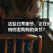 这些日常细节,正在悄悄伤害狗狗的关节?(图3) 这些日常细节,正在悄悄伤害狗狗的关节?(图3)