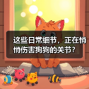 这些日常细节,正在悄悄伤害狗狗的关节?(图4) 这些日常细节,正在悄悄伤害狗狗的关节?(图4)