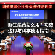 野生桑黄怎么用?功效边界与科学使用指南(图3) 野生桑黄怎么用?功效边界与科学使用指南(图3)