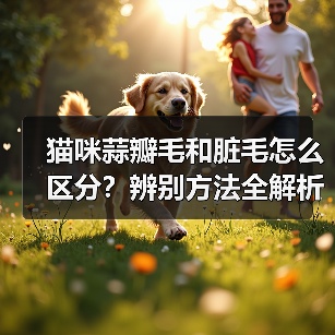 猫咪蒜瓣毛和脏毛怎么区分?辨别方法全解析(图1) 猫咪蒜瓣毛和脏毛怎么区分?辨别方法全解析(图1)