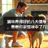 猫咪养得好的八大信号,看看你家猫咪中了几条?(图4) 猫咪养得好的八大信号,看看你家猫咪中了几条?(图4)