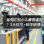 如何识别小儿脾胃虚弱?5大信号+科学调理法(图3) 如何识别小儿脾胃虚弱?5大信号+科学调理法(图3)