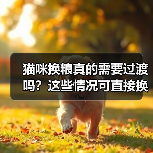 猫咪换粮真的需要过渡吗?这些情况可直接换!(图4) 猫咪换粮真的需要过渡吗?这些情况可直接换!(图4)