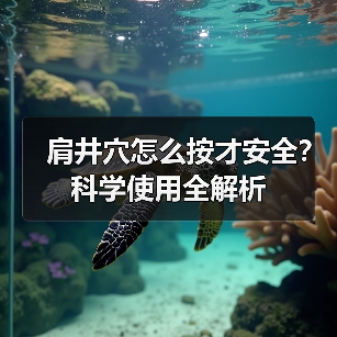 肩井穴怎么按才安全?科学使用全解析(图4) 肩井穴怎么按才安全?科学使用全解析(图4)