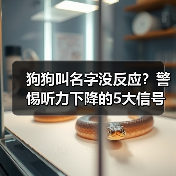 狗狗叫名字没反应?警惕听力下降的5大信号(图4) 狗狗叫名字没反应?警惕听力下降的5大信号(图4)