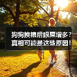 狗狗换粮后眼屎增多?真相可能是这些原因!(图1) 狗狗换粮后眼屎增多?真相可能是这些原因!(图1)