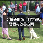 少白头别慌!科学解析诱因与改善方案(图3) 少白头别慌!科学解析诱因与改善方案(图3)