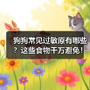 狗狗常见过敏原有哪些?这些食物千万避免!(图2) 狗狗常见过敏原有哪些?这些食物千万避免!(图2)