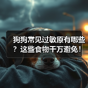 狗狗常见过敏原有哪些？这些食物千万避免！