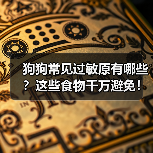 狗狗常见过敏原有哪些?这些食物千万避免!(图3) 狗狗常见过敏原有哪些?这些食物千万避免!(图3)
