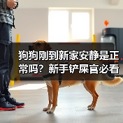 狗狗刚到新家安静是正常吗？新手铲屎官必看！(图2)
