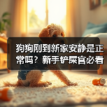 狗狗刚到新家安静是正常吗？新手铲屎官必看！(图3)