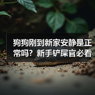 狗狗刚到新家安静是正常吗？新手铲屎官必看！(图4)