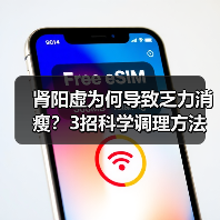 肾阳虚为何导致乏力消瘦?3招科学调理方法(图3) 肾阳虚为何导致乏力消瘦?3招科学调理方法(图3)