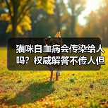 猫咪白血病会传染给人吗?权威解答不传人但传猫(图1) 猫咪白血病会传染给人吗?权威解答不传人但传猫(图1)