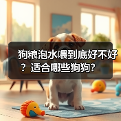 狗粮泡水喂到底好不好?适合哪些狗狗?(图2) 狗粮泡水喂到底好不好?适合哪些狗狗?(图2)