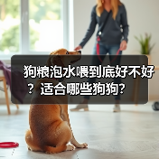 狗粮泡水喂到底好不好?适合哪些狗狗?(图3) 狗粮泡水喂到底好不好?适合哪些狗狗?(图3)