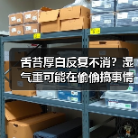 舌苔厚白反复不消?湿气重可能在偷偷搞事情(图2) 舌苔厚白反复不消?湿气重可能在偷偷搞事情(图2)