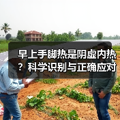 早上手脚热是阴虚内热？科学识别与正确应对方法(图3)