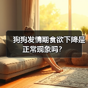 狗狗发情期食欲下降是正常现象吗？(图3)