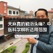天麻真的能治头痛?中医科学解析适用范围(图2) 天麻真的能治头痛?中医科学解析适用范围(图2)