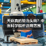 天麻真的能治头痛?中医科学解析适用范围(图4) 天麻真的能治头痛?中医科学解析适用范围(图4)