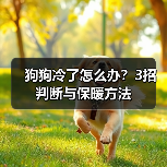 狗狗冷了怎么办?3招判断与保暖方法(图2) 狗狗冷了怎么办?3招判断与保暖方法(图2)