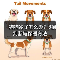 狗狗冷了怎么办?3招判断与保暖方法(图3) 狗狗冷了怎么办?3招判断与保暖方法(图3)