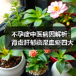 不孕症中医病因解析:肾虚肝郁痰湿血瘀四大因素及调理指南(图3) 不孕症中医病因解析:肾虚肝郁痰湿血瘀四大因素及调理指南(图3)