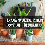 麸炒白术调理痰饮眩悸3大作用：缓解眩晕心慌关键(图3)