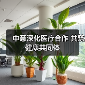 中意深化医疗合作 共筑健康共同体