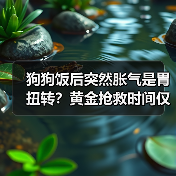 狗狗饭后突然胀气是胃扭转?黄金抢救时间仅4小时!(图4) 狗狗饭后突然胀气是胃扭转?黄金抢救时间仅4小时!(图4)