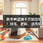 新手养蓝猫千万别忽略!掉毛、肥胖、遗传病风险全知道(图3) 新手养蓝猫千万别忽略!掉毛、肥胖、遗传病风险全知道(图3)