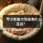 军犬和警犬到底有什么区别？