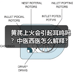 黄芪上火会引起耳鸣吗?中医西医怎么解释?(图4) 黄芪上火会引起耳鸣吗?中医西医怎么解释?(图4)