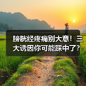 膀胱经疼痛别大意!三大诱因你可能踩中了?科学应对方法全知道(图4) 膀胱经疼痛别大意!三大诱因你可能踩中了?科学应对方法全知道(图4)