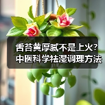 舌苔黄厚腻不是上火？中医科学祛湿调理方法