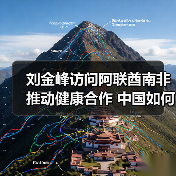 刘金峰访问阿联酋南非推动健康合作 中国如何参与全球卫生治理(图4) 刘金峰访问阿联酋南非推动健康合作 中国如何参与全球卫生治理(图4)