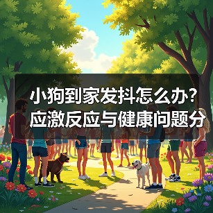 小狗到家发抖怎么办?应激反应与健康问题分析(图1) 小狗到家发抖怎么办?应激反应与健康问题分析(图1)