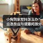 小狗到家发抖怎么办?应激反应与健康问题分析(图3) 小狗到家发抖怎么办?应激反应与健康问题分析(图3)