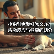 小狗到家发抖怎么办?应激反应与健康问题分析(图4) 小狗到家发抖怎么办?应激反应与健康问题分析(图4)