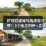 肝肾阴虚喝乌鸡汤需注意?3个维度判断+正确饮用避坑(图4) 肝肾阴虚喝乌鸡汤需注意?3个维度判断+正确饮用避坑(图4)