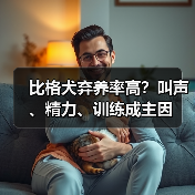 比格犬弃养率高?叫声、精力、训练成主因(图1) 比格犬弃养率高?叫声、精力、训练成主因(图1)