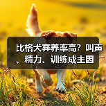 比格犬弃养率高?叫声、精力、训练成主因(图3) 比格犬弃养率高?叫声、精力、训练成主因(图3)