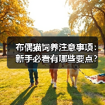 布偶猫饲养注意事项:新手必看有哪些要点?(图2) 布偶猫饲养注意事项:新手必看有哪些要点?(图2)