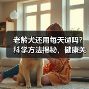 老龄犬还用每天遛吗?科学方法揭秘,健康关键(图2) 老龄犬还用每天遛吗?科学方法揭秘,健康关键(图2)