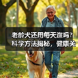 老龄犬还用每天遛吗?科学方法揭秘,健康关键(图1) 老龄犬还用每天遛吗?科学方法揭秘,健康关键(图1)