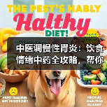 中医调慢性胃炎：饮食情绪中药全攻略，帮你缓解反复胃痛 - 辰飞雨深圳健康科普资讯网